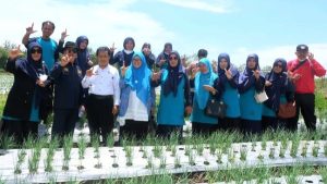 IPM Tinggi, Enrekang Tergolong Kabupaten Tersejahtera di Sulsel