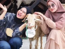 Libur Iduladha 2023, Pemerintah Tetapkan Lewat Sidang Isbat pada Tanggal Ini
