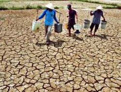 BMKG Sebut Separuh Wilayah Indonesia Bakal Kemarau, Ini Penyakit yang Perlu Diwaspadai