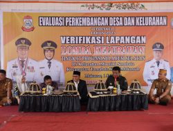 Danny Pomanto Optimis Maccini Sombala Wakili Sulsel