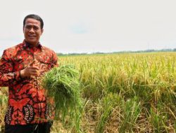 Harta Kekayaan Amran Sulaiman yang Dilantik Lagi Jadi Mentan