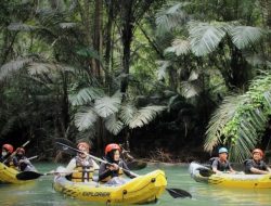 Destinasi Wisata