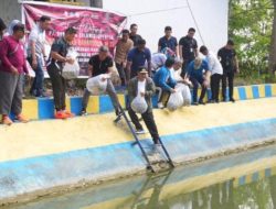 Pj Gubernur Sulsel Lepas 21.000 Ekor Benih Ikan Nila di Mata Air Wollangi Bone