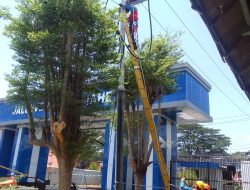 PLN Sulbagsel Lakukan Upaya Preventif Agar Pasokan Listrik Tetap Aman di Musim Hujan