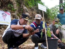 Pemprov Sulsel akan Tanam 10 Ribu Pohon Sukun di Rammang-rammang Maros