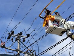 PLN Lakukan Sinkronisasi PTLS Tahap I ke IKN