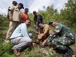 Tingkatkan Penghijauan Kawasan Hutan, PT Vale Bersama Pemda Lutim Tanam Pohon