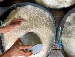 Harga Beras Naik di Sejumlah Daerah Termasuk Sulsel