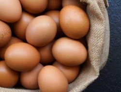 BPS: Harga Telur Naik di 199 Daerah Termasuk Sulsel