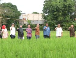 Pemprov Sulsel Terus Tunjukan Progres Persiapan Pembangunan Stadion