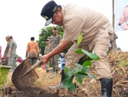 Pj Gubernur Sulsel Bahtiar Baharuddin Menggiatkan Penanaman Nangka di Jenepont