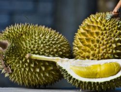 Bukan Palopo, Daerah Ini Selalu Produksi Durian Banyak di Sulsel