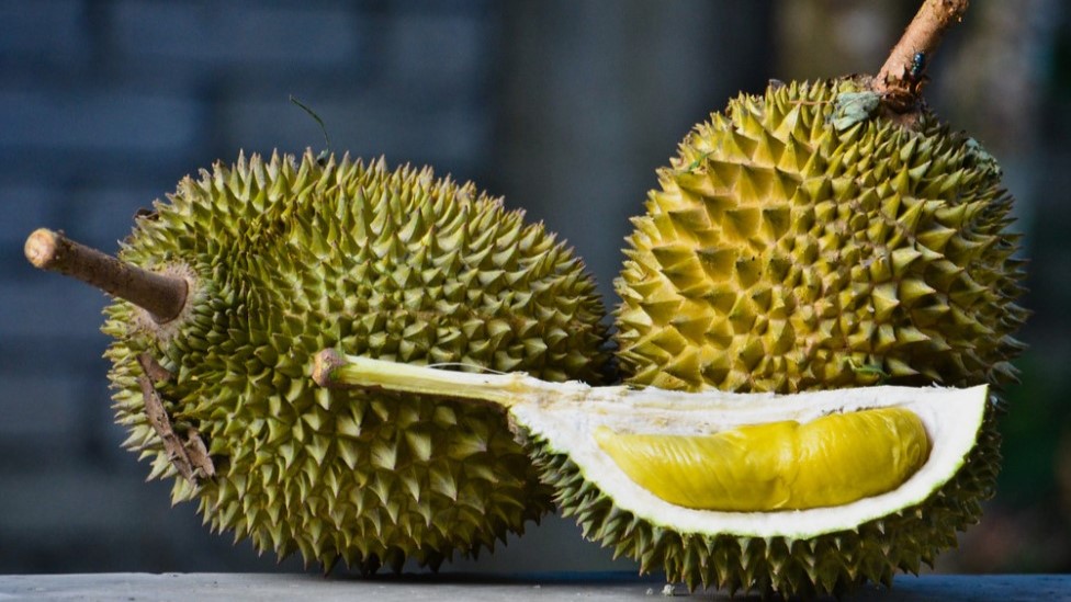 Durian