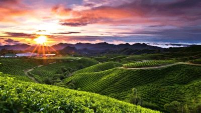 Wisata Unik