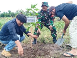 Huadi Group Bersama Kodim Bantaeng Kolaborasi Penanaman Pohon