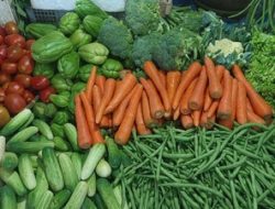 Asam Urat, Hindari Konsumsi Sayur Jenis Ini