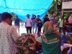 Program Desa Bangkit Sejahtera LAZ Hadji Kalla Perluas Wilayah Desa Binaan