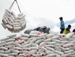 Impor Gula Capai Rp 33 Triliun, Indonesia Hadapi Tantangan Swasembada Pangan