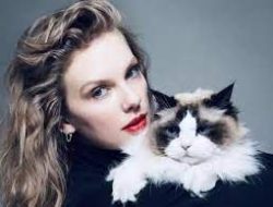 Hari Kucing Nasional AS 29 Oktober, Ini Faktanya
