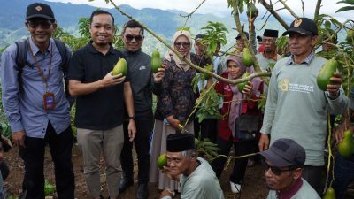 Panen Perdana 2.000 Benih Alpukat, LAZ Hadji Kalla Berdayakan Petani Desa Tonasa