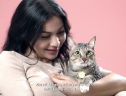Gen Z Lebih Pilih Jadi ‘Pet Parent’ Ketimbang Punya Anak