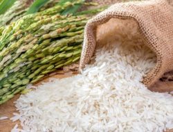 Peneliti Berhasil Kembangkan Beras Rendah Gula, Solusi Atasi Diabetes
