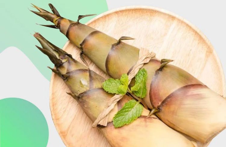 Rebung, Pangan Tradisional Kaya Manfaat dari Sulawesi Selatan