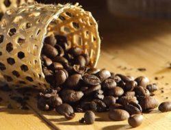 Tren Kopi 2025: Plant-based Akan Dominasi Kafe