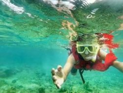 Dari Gunung Hingga Pantai, Ini Aktivitas Menyenangkan Jadi Anak Mapala