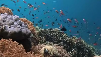 Pusat Konservasi Alam di Sulawesi Selatan yang Harus Kamu Kunjungi