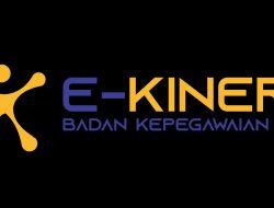 Cara Login dan Manfaat eKinerja BKN untuk ASN