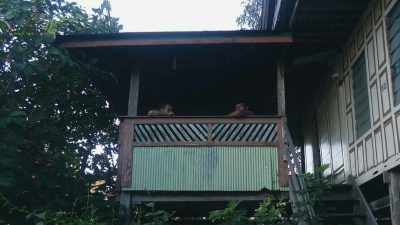 Ganti Gaya Hidup Nongkrong di Kafe Dengan Tradisi Sulsel Ini