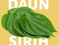 Manfaat Daun Sirih untuk Kesehatan Gigi dan Mulut