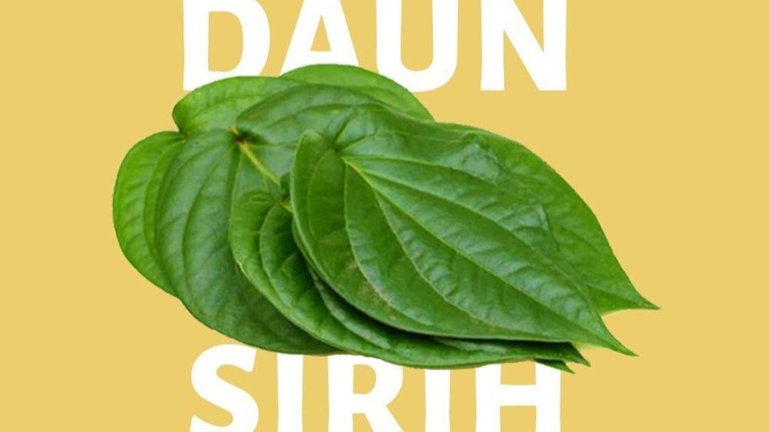 Manfaat Daun Sirih untuk Kesehatan Gigi dan Mulut