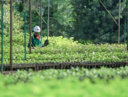 PT Vale Indonesia Raih Penghargaan Asia Sustainability Reporting Awards ke-10 Berkat Komitmen Transparansi dan Keberlanjutan