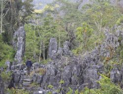 Wisata Sulsel: Eksplorasi Sejarah dan Agrowisata di Benteng Alla