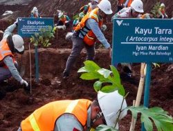 PT Vale Tunjukkan Tambang Bisa Dimulai dengan Menanam