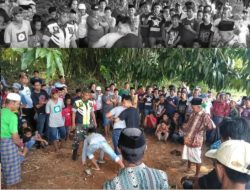 Kearifan Lokal Sulsel Mallanca: Simbol Ketahanan Tubuh dan Kebersamaan di Era Modern