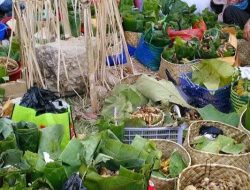 Maccera Manurung: Kearifan Lokal Sulsel dalam Medukung Gaya Hidup Ramah Lingkungan