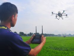 Dari Ladang ke Layar: Kebijakan Pemerintah dalam Modernisasi Pertanian Tradisional
