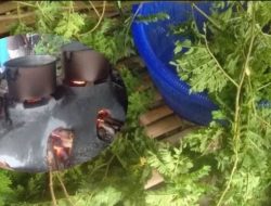 Kearifan Lokal Sulsel dalam Sepiring Nasu Cemba