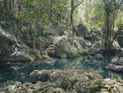 Menelusuri Keindahan Toraja: 7 Destinasi Wisata yang Wajib Dikunjungi