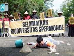 Walhi Sulsel Desak Perlindungan Pesisir di Makassar