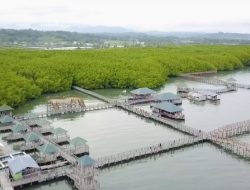 5 Wisata Mangrove Sulsel yang Cocok untuk Liburan Keluarga