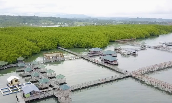 Wisata Mangrove