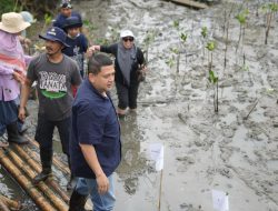 Wali Kota Munafri Tekankan Manfaat Mangrove untuk Lingkungan dan Ekonomi 