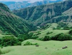 Lupakan Bali, 5 Tempat Wisata Sulsel Ini Bikin Jatuh Cinta