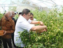 Munafri Dorong Urban Farming Wujudkan Ketahanan Pangan dan Ekonomi Mandiri