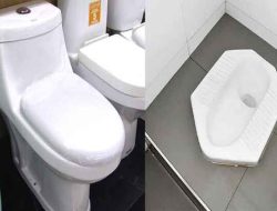Duduk atau Jongkok? Jejak Karbon di Balik Toilet 