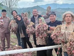 Jalin Kerja Sama Pangan, Gubernur Kaltara Kunjungi Enrekang 